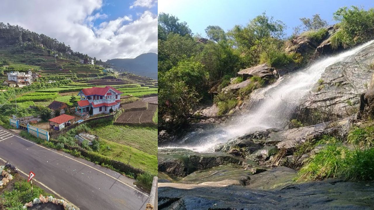 கொடைக்கானலில் இப்படி ஒரு இடம் இருக்கிறதா? என்ன இடம் அது? கொடைக்கானலில் இப்படி ஒரு இடம் இருக்கிறதா? என்ன இடம் அது?