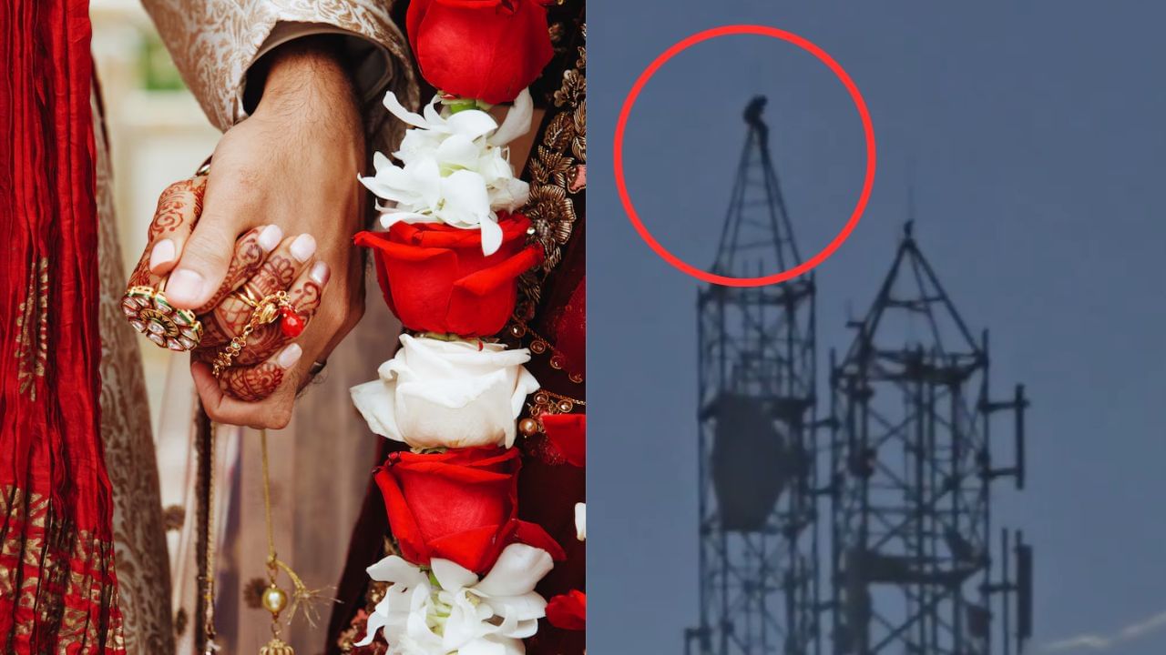 திருமணம் செய்து வைக்க கோரி டவர் மீது ஏறி போராடிய இளைஞர்.. பெங்களூரில் அதிர்ச்சி சம்பவம்! திருமணம் செய்து வைக்க கோரி டவர் மீது ஏறி போராடிய இளைஞர்.. பெங்களூரில் அதிர்ச்சி சம்பவம்!