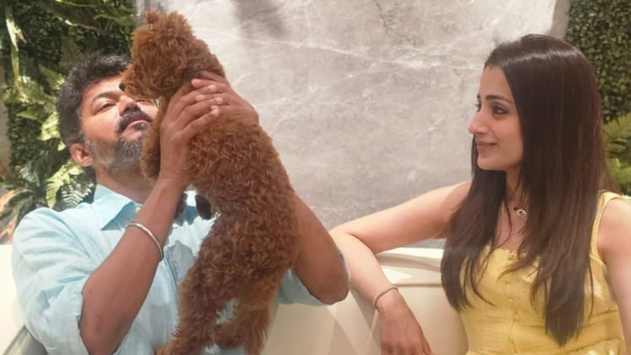 Trisha Krishnan : ஹேப்பி பர்த்டே பெஸ்டஸ்ட்.. தளபதி விஜய்க்குப் பிறந்தநாள் வாழ்த்துக் கூறிய திரிஷா! Trisha Krishnan : ஹேப்பி பர்த்டே பெஸ்டஸ்ட்.. தளபதி விஜய்க்குப் பிறந்தநாள் வாழ்த்துக் கூறிய திரிஷா!