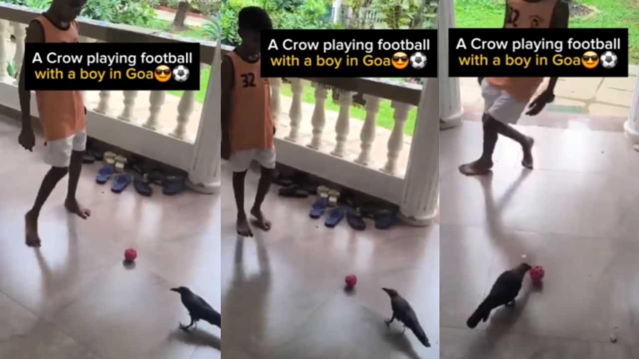 Viral Video : சிறுவனுடன் கால்பந்து விளையாடும் காகம்.. இணையத்தை ஆச்சர்யத்தில் ஆழ்த்திய வீடியோ!