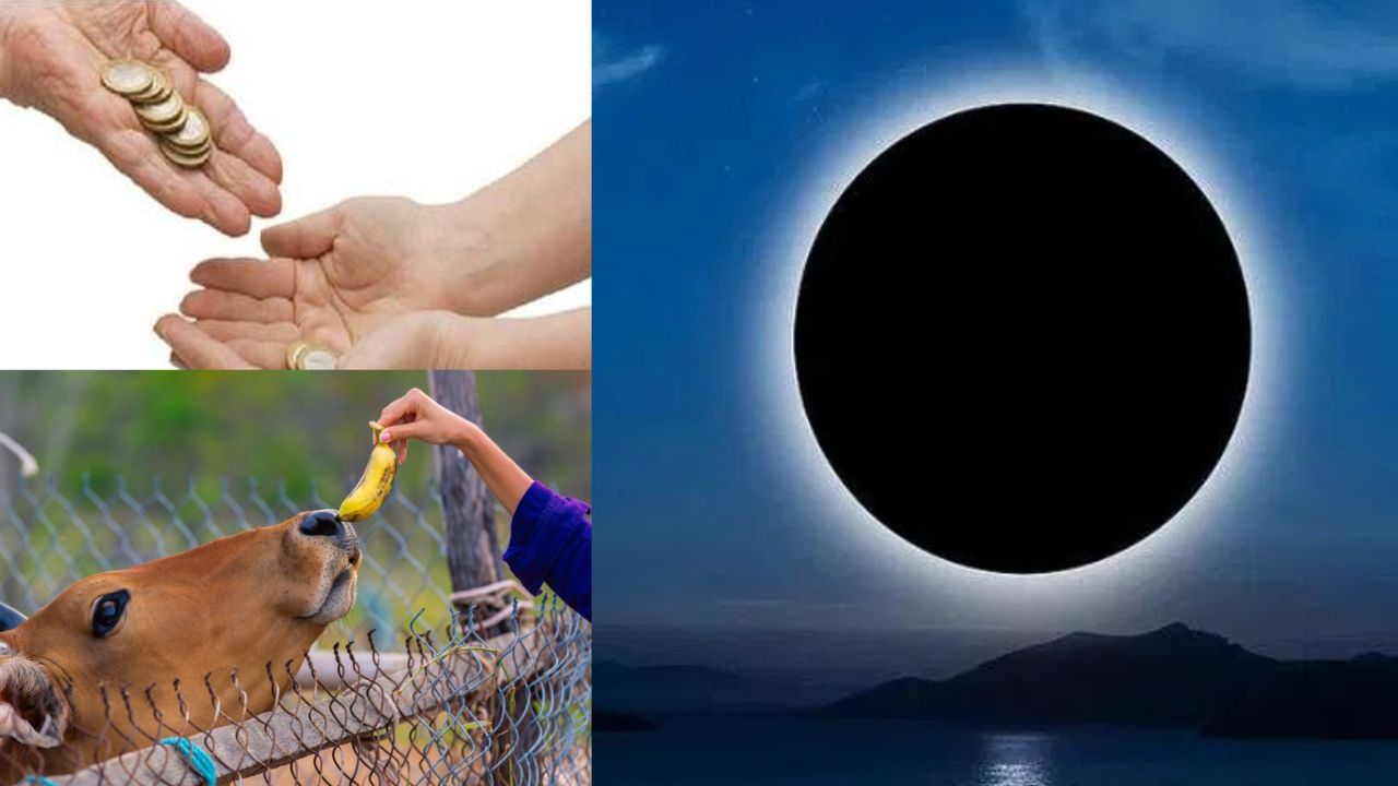 Aadi Amavasai: ஆடி அமாவாசை நாளில் இதெல்லாம் தானம் கொடுத்தால் புண்ணியம்! Aadi Amavasai: ஆடி அமாவாசை நாளில் இதெல்லாம் தானம் கொடுத்தால் புண்ணியம்!