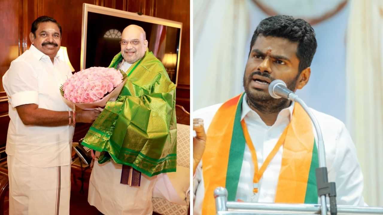 அதிமுக பாஜக கூட்டணியில் குழப்பமா? அண்ணாமலை சொன்ன முக்கிய விஷயம்!