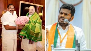 அதிமுக பாஜக கூட்டணியில் குழப்பமா? அண்ணாமலை சொன்ன முக்கிய விஷயம்! அதிமுக பாஜக கூட்டணியில் குழப்பமா? அண்ணாமலை சொன்ன முக்கிய விஷயம்!