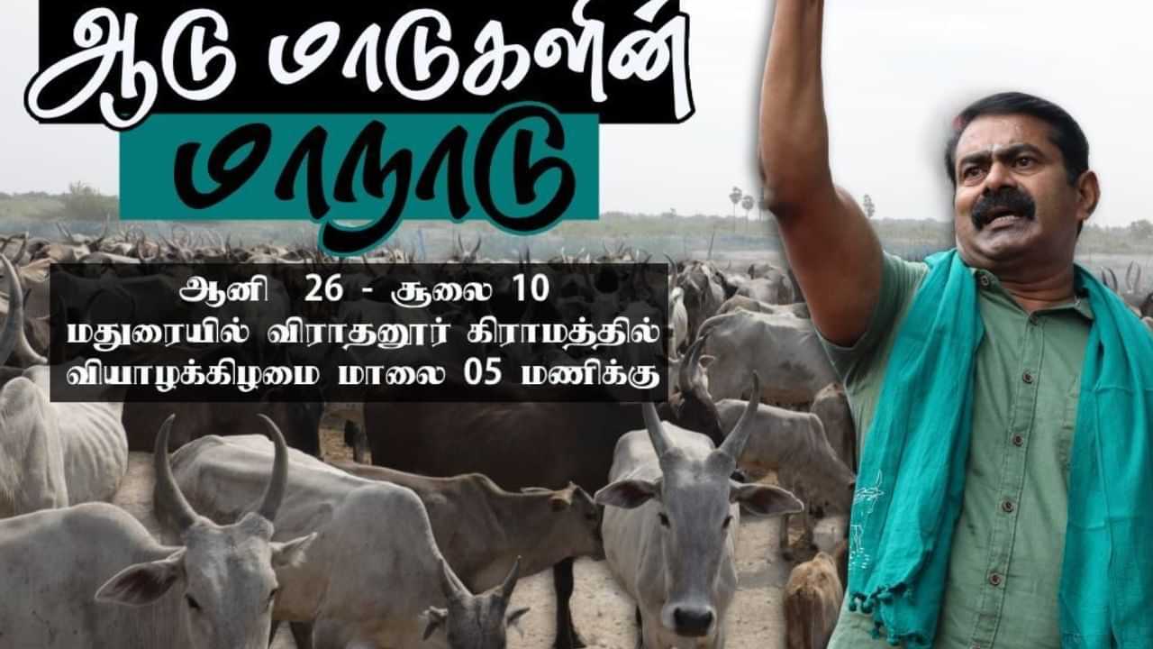 நாம் தமிழர் கட்சி நடத்தும் ஆடு மாடுகள் மாநாடு.. மதுரை விராதனூரில் ஏற்பாடுகள் தீவிரம்..