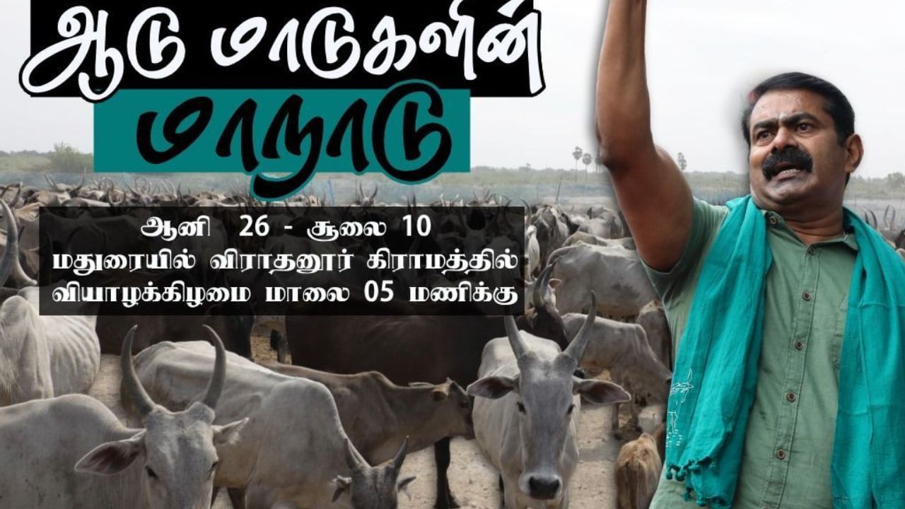 நாம் தமிழர் கட்சி நடத்தும் ஆடு மாடுகள் மாநாடு.. மதுரை விராதனூரில் ஏற்பாடுகள் தீவிரம்..