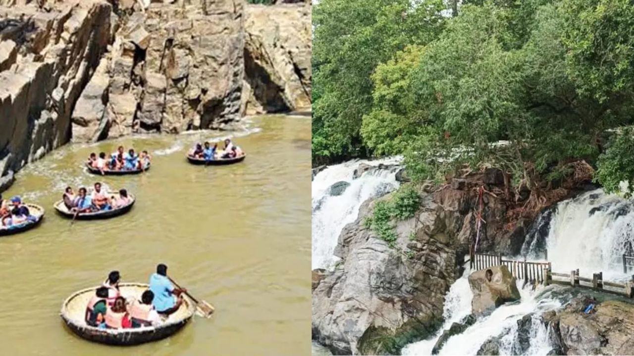 ஆர்ப்பரிக்கும் ஒகேனக்கல் காவிரி… அருவியில் குளிக்க 11-வது நாளாக தொடரும் தடை ஆர்ப்பரிக்கும் ஒகேனக்கல் காவிரி… அருவியில் குளிக்க 11-வது நாளாக தொடரும் தடை
