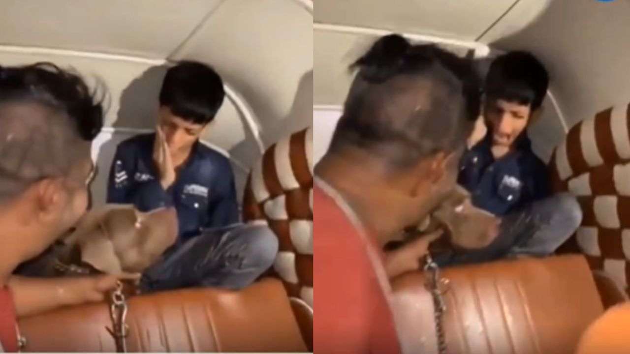 Viral Video : வளர்ப்பு நாயை வைத்து சிறுவனை கடித்த வைத்த நபர்.. இணையத்தை கடுப்பாக்கிய வீடியோ! Viral Video : வளர்ப்பு நாயை வைத்து சிறுவனை கடித்த வைத்த நபர்.. இணையத்தை கடுப்பாக்கிய வீடியோ!