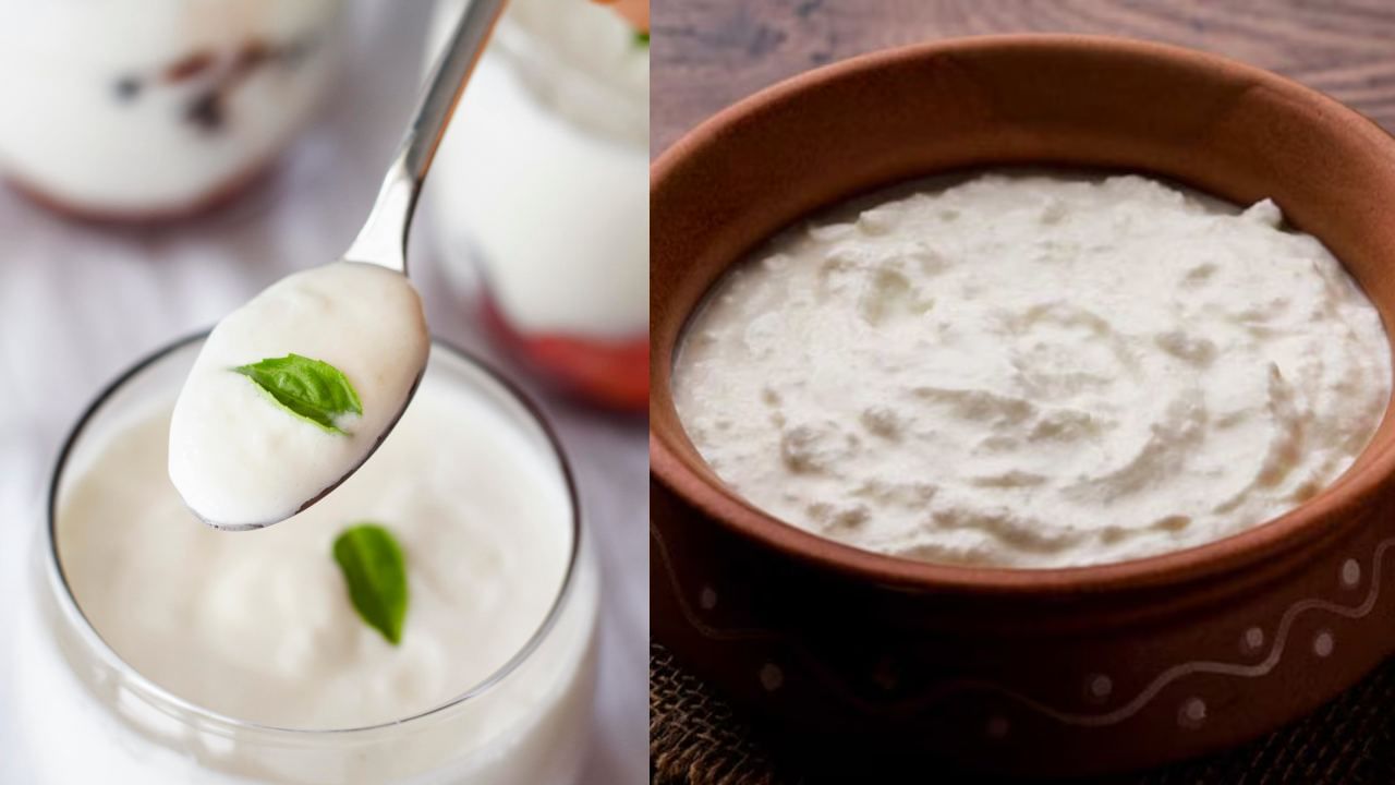 Curd Safety: பழைய புளிப்பு தயிர் சாப்பிடுவது பாதுகாப்பானதா? தயிர் சாப்பிட சரியான வழி எது? Curd Safety: பழைய புளிப்பு தயிர் சாப்பிடுவது பாதுகாப்பானதா? தயிர் சாப்பிட சரியான வழி எது?