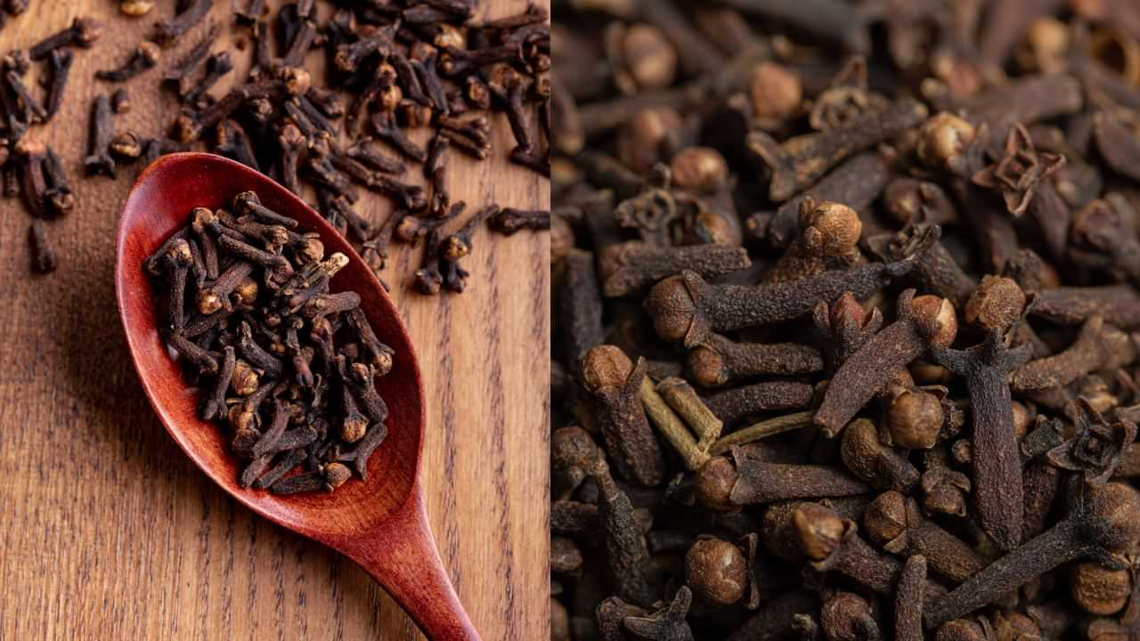 Health Tips: தினமும் ஒரே ஒரு கிராம்பு மென்று சாப்பிட்டு பாருங்க.. இந்த பிரச்சனைகள் சரியாகும்..! Health Tips: தினமும் ஒரே ஒரு கிராம்பு மென்று சாப்பிட்டு பாருங்க.. இந்த பிரச்சனைகள் சரியாகும்..!