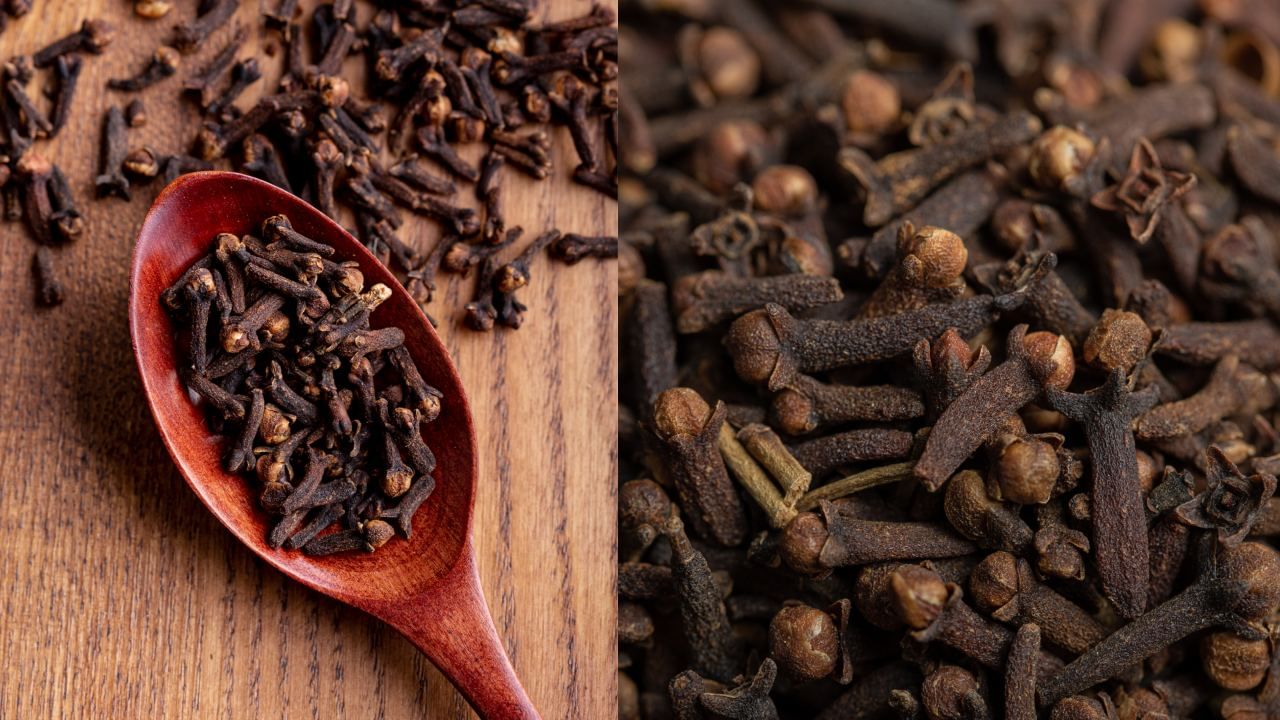 Health Tips: தினமும் ஒரே ஒரு கிராம்பு மென்று சாப்பிட்டு பாருங்க.. இந்த பிரச்சனைகள் சரியாகும்..! Health Tips: தினமும் ஒரே ஒரு கிராம்பு மென்று சாப்பிட்டு பாருங்க.. இந்த பிரச்சனைகள் சரியாகும்..!