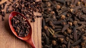 Health Tips: தினமும் ஒரே ஒரு கிராம்பு மென்று சாப்பிட்டு பாருங்க.. இந்த பிரச்சனைகள் சரியாகும்..!