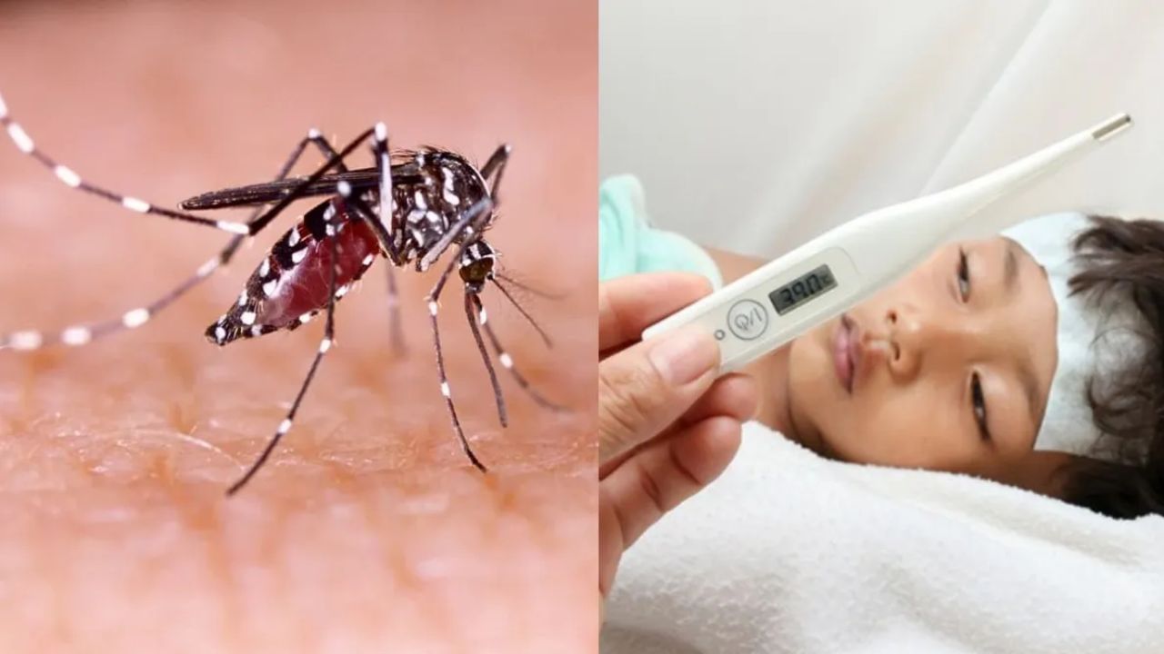 சென்னையில் டெங்கு பரவல் அதிகரிப்பு: மாணவர்கள் அதிகம் பாதிப்பு, மாநகராட்சி நடவடிக்கை