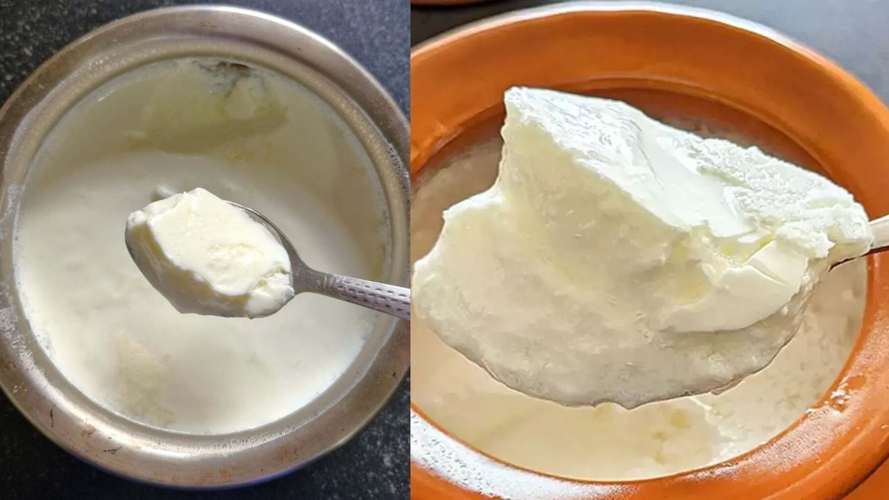 Health Tips: வெறும் வயிற்றில் தயிர் சாப்பிடலாமா..? யார் யார் சாப்பிடக்கூடாது..? Health Tips: வெறும் வயிற்றில் தயிர் சாப்பிடலாமா..? யார் யார் சாப்பிடக்கூடாது..?