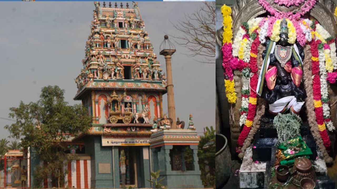 மிருகசீரிஷம் நட்சத்திரமா நீங்கள்? – வழிபட வேண்டிய கோயில் இதுதான்! மிருகசீரிஷம் நட்சத்திரமா நீங்கள்? – வழிபட வேண்டிய கோயில் இதுதான்!