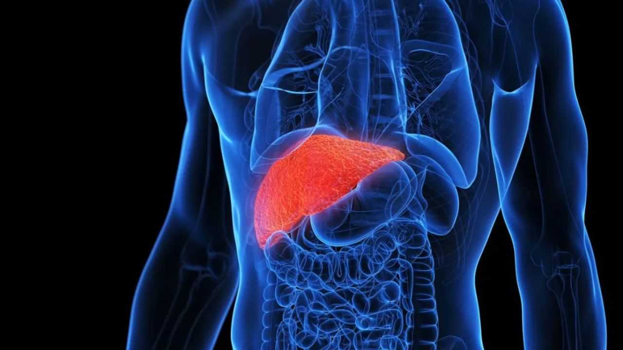 Liver Health Tips : மது அருந்தாதவர்களுக்கும் வரும் கல்லீரல் சிக்கல்.. 3 முக்கிய காரணங்கள் இவைதான்! Liver Health Tips : மது அருந்தாதவர்களுக்கும் வரும் கல்லீரல் சிக்கல்.. 3 முக்கிய காரணங்கள் இவைதான்!
