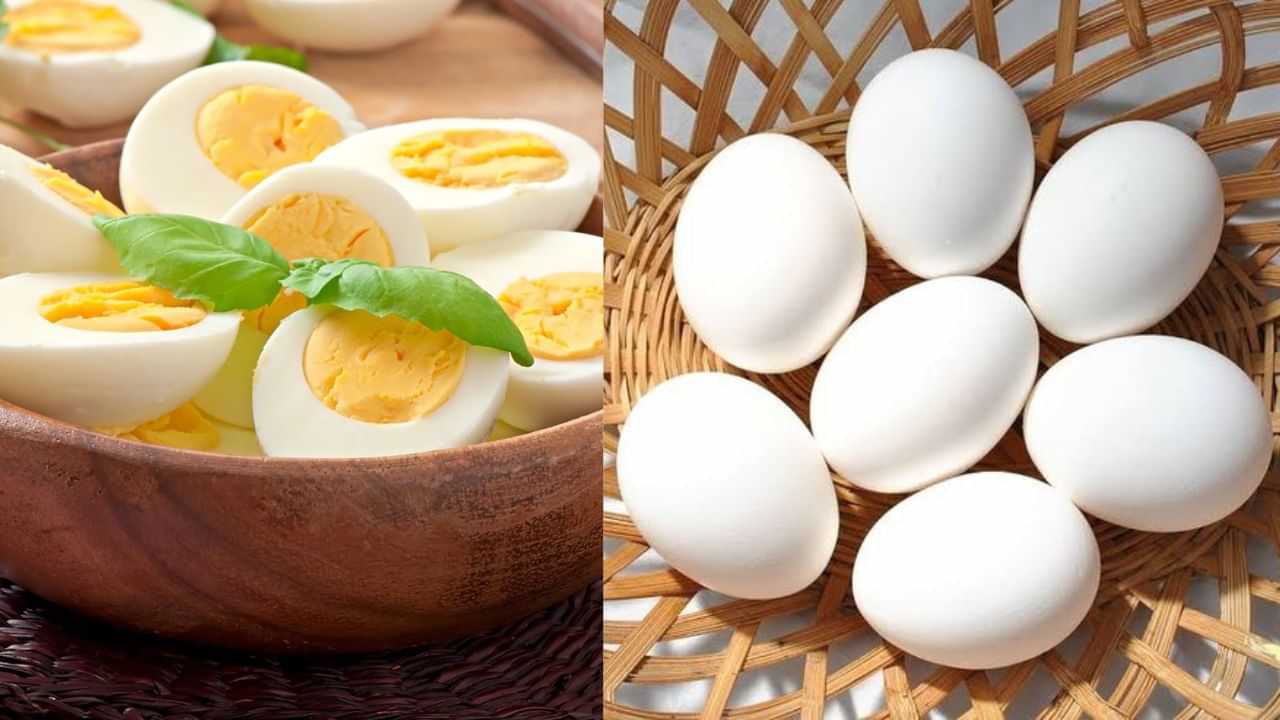முட்டை Vs முட்டை வெள்ளைக்கரு: தசை வளர்ச்சிக்கு எது சிறந்தது?