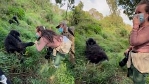 Viral Video : பெண்ணின் தலை முடியை பிடித்து இழுத்த ஆண் கொரிலா.. Possessive ஆன பெண் கொரிலா.. கியூட் வீடியோ!
