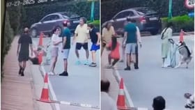 வாக்கிங் சென்ற இளம்பெண்.. பாய்ந்து வந்து  கடித்த ஹஸ்கி நாய்.. அதிர்ச்சி வீடியோ!...