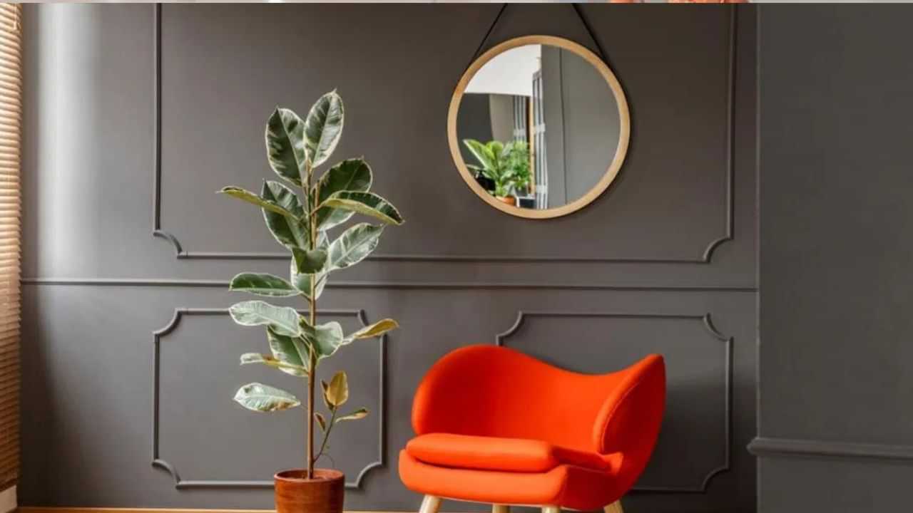 Vastu Tips: கண்ணாடியை கொண்டு வாஸ்து தோஷம் நீக்கலாம்.. எப்படி தெரியுமா? Vastu Tips: கண்ணாடியை கொண்டு வாஸ்து தோஷம் நீக்கலாம்.. எப்படி தெரியுமா?