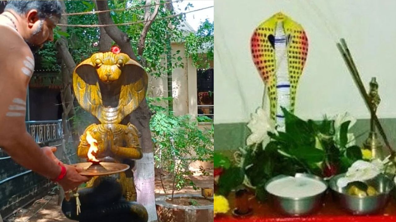 Naga Panchami: ஜூலை29ல் கொண்டாடப்படும் நாக பஞ்சமி.. வீட்டில் வழிபாடு செய்வது எப்படி? Naga Panchami: ஜூலை29ல் கொண்டாடப்படும் நாக பஞ்சமி.. வீட்டில் வழிபாடு செய்வது எப்படி?