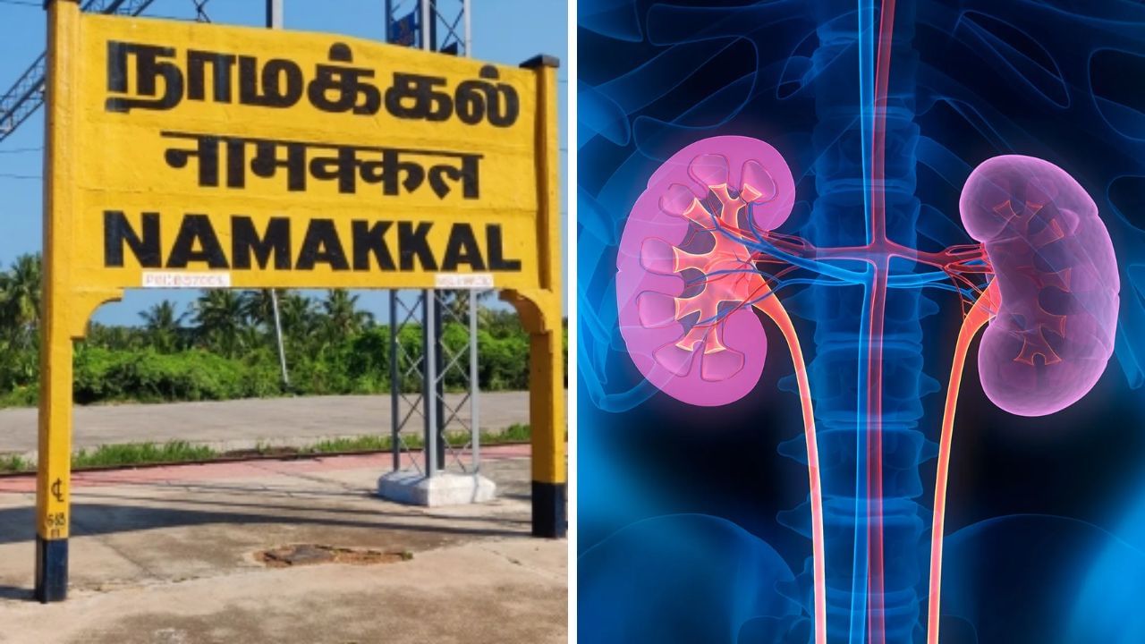 கிட்னி விற்பனை மோசடி.. நாமக்கல்லில் அரங்கேறும் சம்பவம்.. அதிரவைக்கும் பின்னணி! கிட்னி விற்பனை மோசடி.. நாமக்கல்லில் அரங்கேறும் சம்பவம்.. அதிரவைக்கும் பின்னணி!