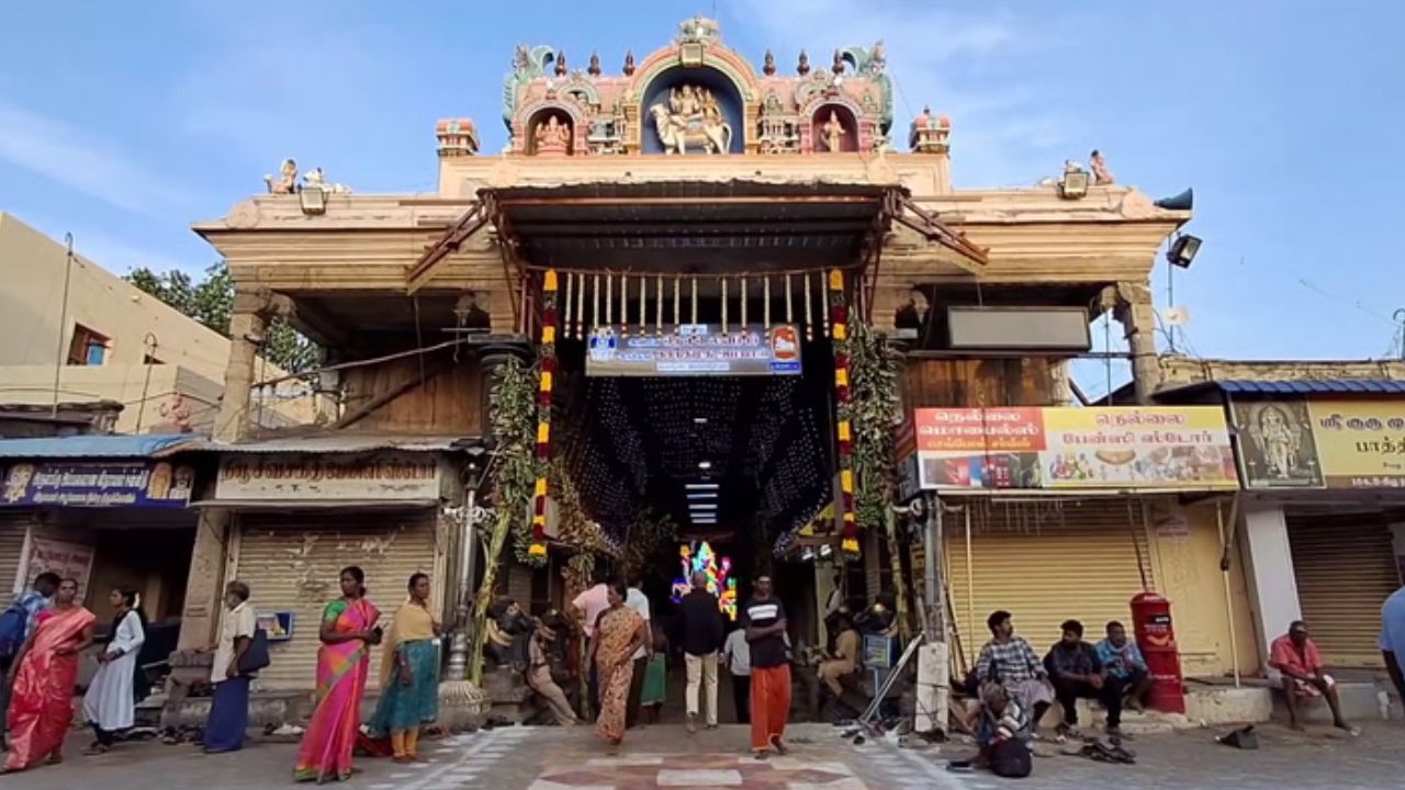 ஆனித்திருவிழா..! பக்தர்கள் முன்னிலையில் வலம் வந்த நெல்லையப்பர் தேரோட்டம்!