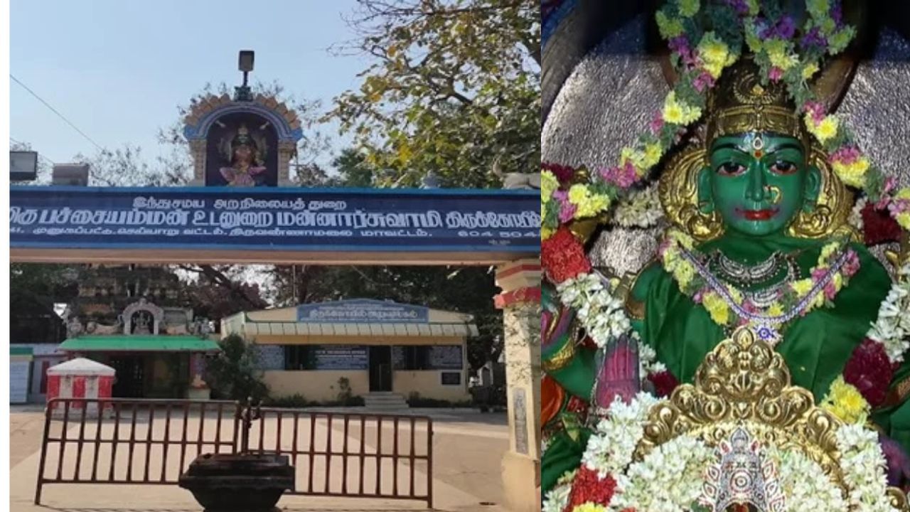 Pachaiamman: பிரச்னையே வாழ்க்கையா இருக்கா? – தீர்வு தரும் பச்சையம்மன் கோயில்! Pachaiamman: பிரச்னையே வாழ்க்கையா இருக்கா? – தீர்வு தரும் பச்சையம்மன் கோயில்!