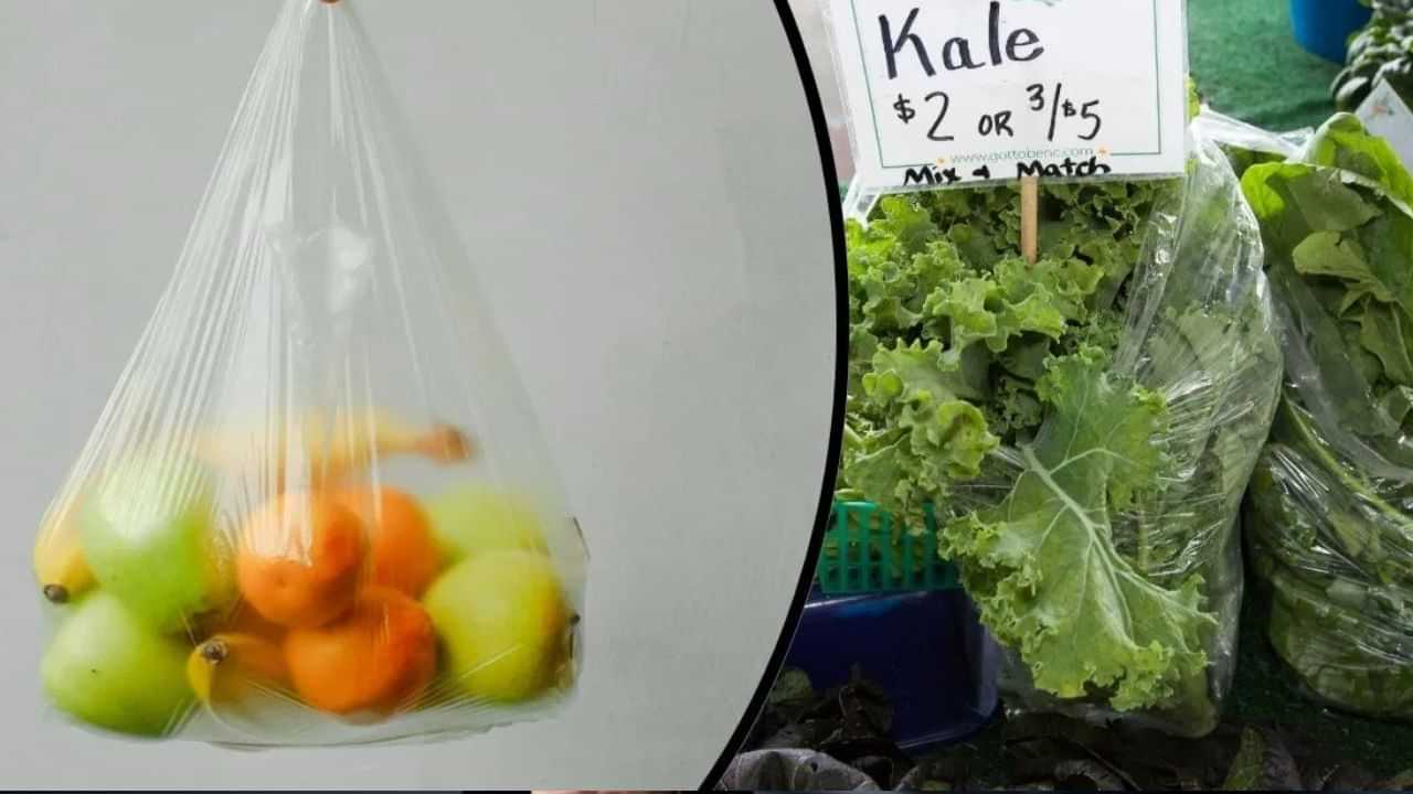 ஃபிரிட்ஜிக்குள் பிளாஸ்டிக் பைகளில் காய்கறி வைப்பீங்களா? உஷார்.. இவ்வளவு சிக்கல் இருக்கு! ஃபிரிட்ஜிக்குள் பிளாஸ்டிக் பைகளில் காய்கறி வைப்பீங்களா? உஷார்.. இவ்வளவு சிக்கல் இருக்கு!