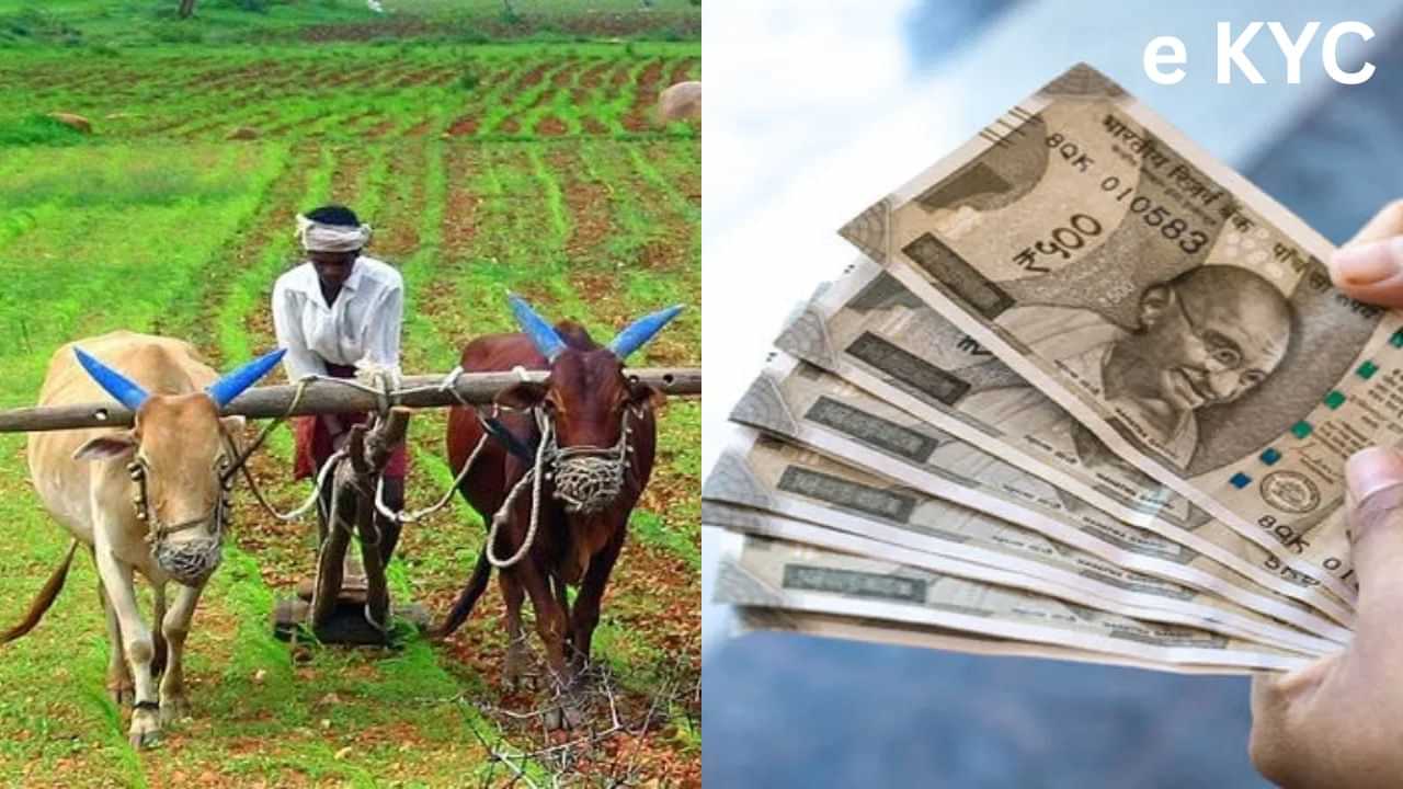 PM Kisan : பிஎம் கிசான் பணம் பெற e KYC கட்டாயம்.. ஆன்லைன் மூலம் சுலபமாக முடிச்சிடலாம்! PM Kisan : பிஎம் கிசான் பணம் பெற e KYC கட்டாயம்.. ஆன்லைன் மூலம் சுலபமாக முடிச்சிடலாம்!