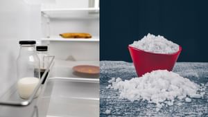 Monsoon Fridge Tips: பிரிட்ஜின் வாழ்நாள் நீட்டிக்க வேண்டுமா..? மழைக்கால ஈரப்பதத்திலிருந்து பாதுகாக்கும் உப்பு..!