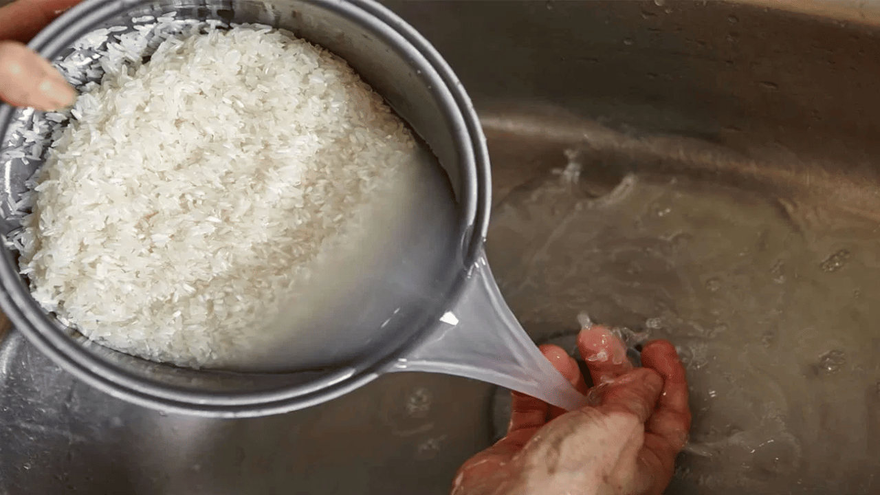 அரிசியை கழுவாமல் சமைத்தால் என்ன நடக்கும்? அதன் பின்னால் உள்ள அறிவியல் என்ன?