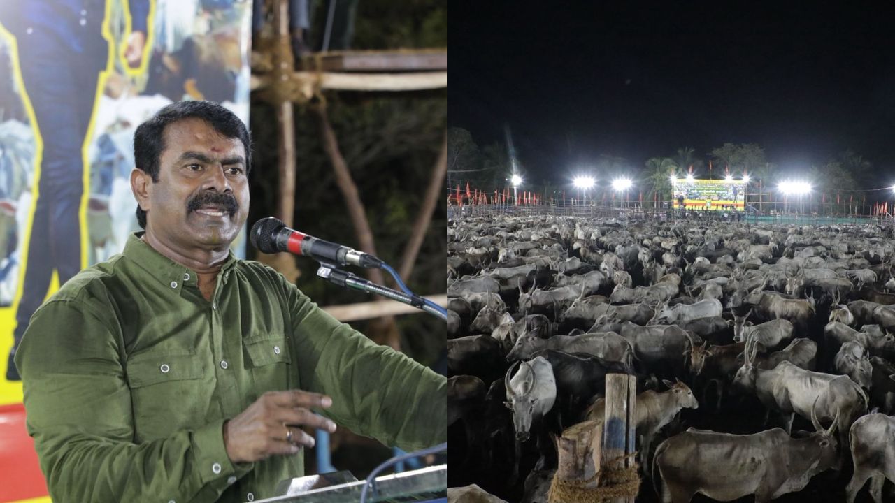 ஆடு மாடுகளுக்கு ஓட்டுரிமை வழங்க வேண்டும்.. மதுரையில் நடந்த மாநாட்டில் சீமான் பேச்சு..