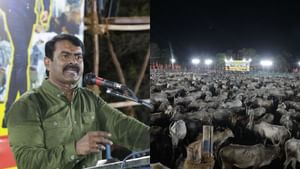 ஆடு மாடுகளுக்கு ஓட்டுரிமை வழங்க வேண்டும்.. மதுரையில் நடந்த மாநாட்டில் சீமான் பேச்சு..