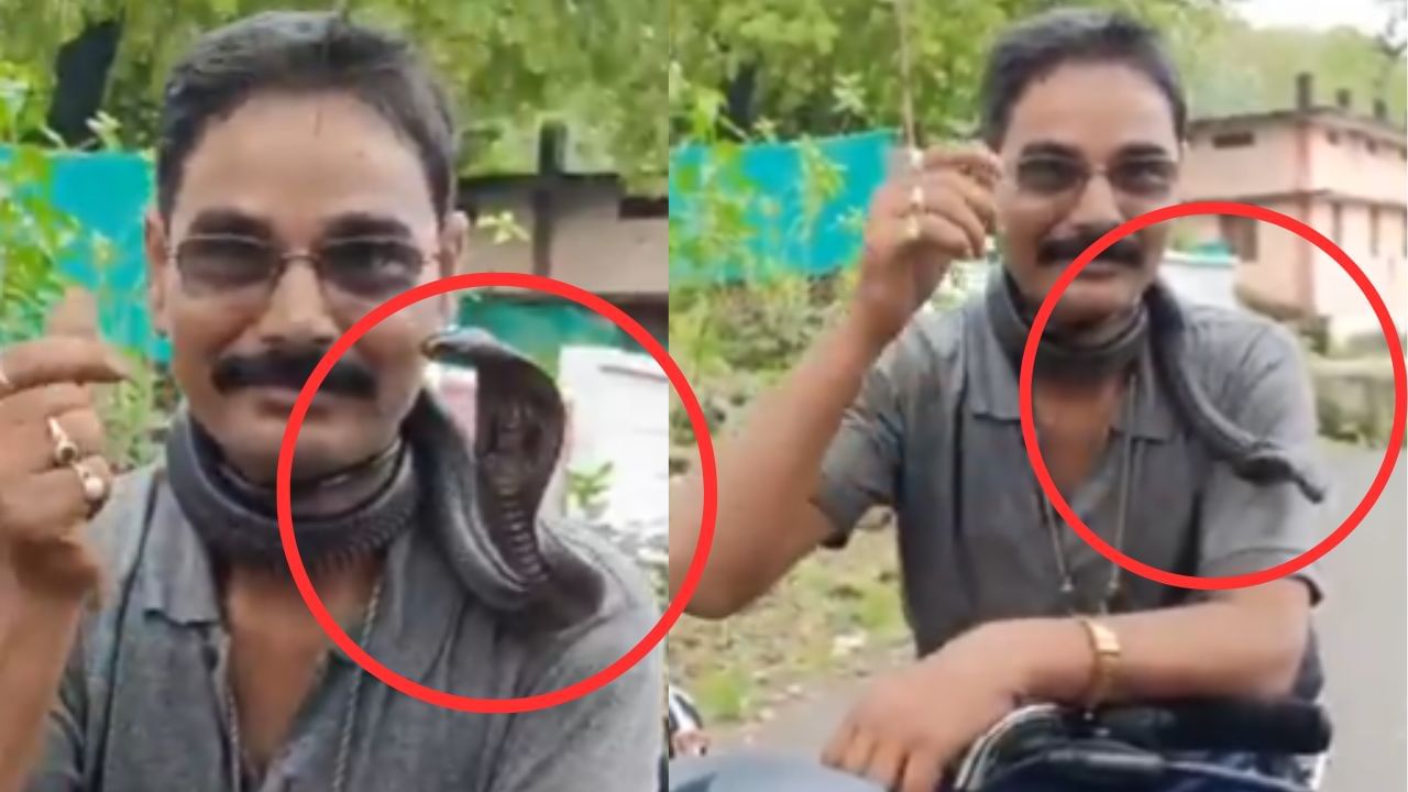 Viral Video : கழுத்தில் பாம்பை போட்டுக்கொண்டு இருசக்கர வாகனம் ஓட்டிய நபர்.. அடுத்து நடந்த அதிர்ச்சி சம்பவம்!