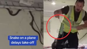 Viral Video : விமானத்தில் மறைந்திருந்த பாம்பு.. புறப்படுவதற்கு முன்பு பதற்றம்!