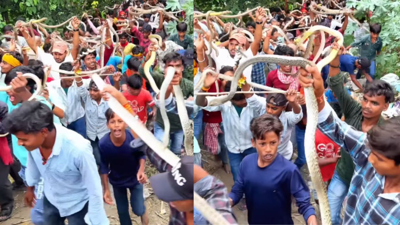 Viral Video : கையில் பாம்புகளை பிடித்துக்கொண்டு ஊர்வலம் சென்ற ஆண்கள்.. பீகாரில் வினோத சம்பவம்! Viral Video : கையில் பாம்புகளை பிடித்துக்கொண்டு ஊர்வலம் சென்ற ஆண்கள்.. பீகாரில் வினோத சம்பவம்!