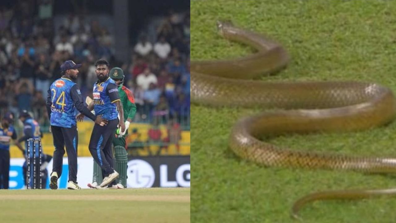 Sri Lanka vs Bangladesh ODI: கிரவுண்டுக்குள் புகுந்த பாம்பு.. இலங்கை – வங்கதேச ஒருநாள் போட்டியில் பரபரப்பு..!