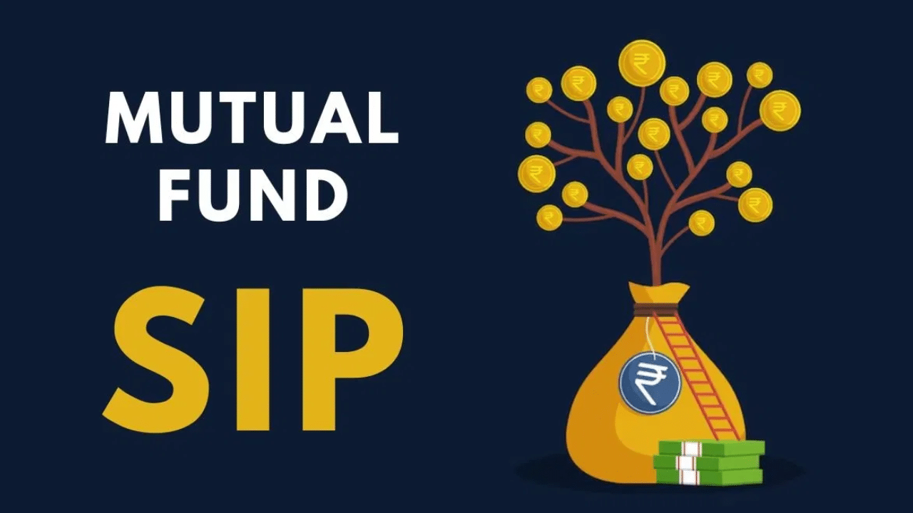 SIP: வாரம் ரூ.500 முதலீடு செய்தால் 15 ஆண்டுகளில் எவ்வளவு கிடைக்கும்? முழு விவரம் இதோ! SIP: வாரம் ரூ.500 முதலீடு செய்தால் 15 ஆண்டுகளில் எவ்வளவு கிடைக்கும்? முழு விவரம் இதோ!