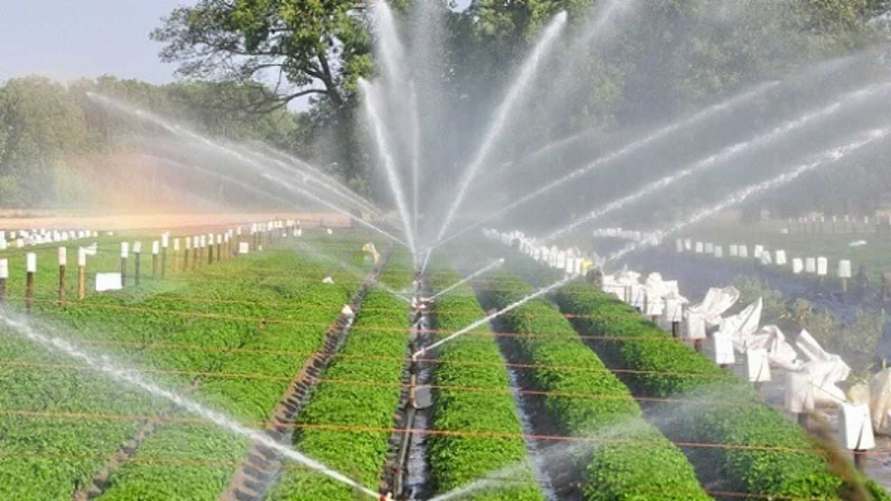 விவசாயிகளுக்கு நற்செய்தி... பாசன வேளாண்மை மேம்பாட்டிற்கு ரூ.305 கோடி கூடுதல் நிதி ஒதுக்கீடு
