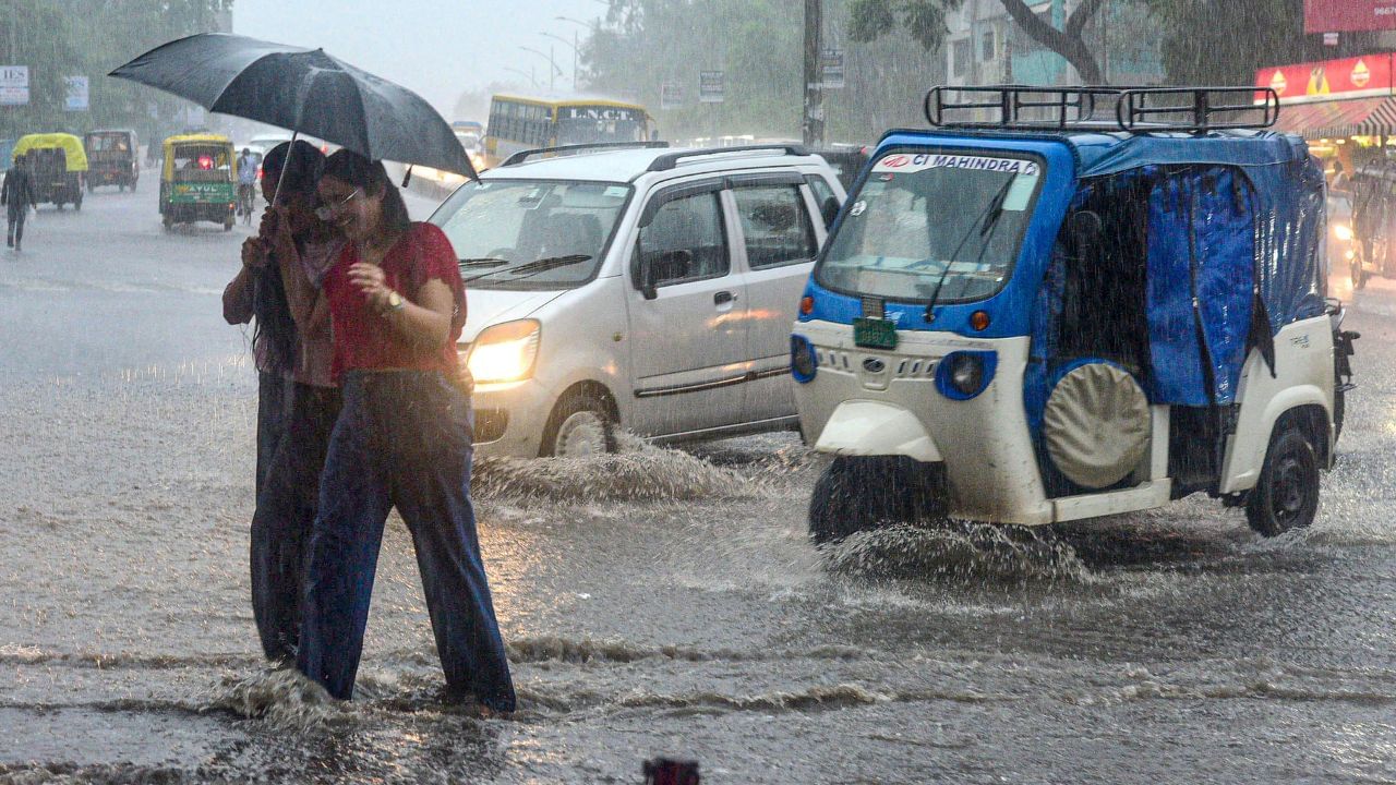 நீலகிரி டூ கோவை.. அடுத்த 6 நாட்களுக்கு பிச்சு உதறபோகும் மழை.. சென்னையின் வானிலை நிலவரம் என்ன? நீலகிரி டூ கோவை.. அடுத்த 6 நாட்களுக்கு பிச்சு உதறபோகும் மழை.. சென்னையின் வானிலை நிலவரம் என்ன?