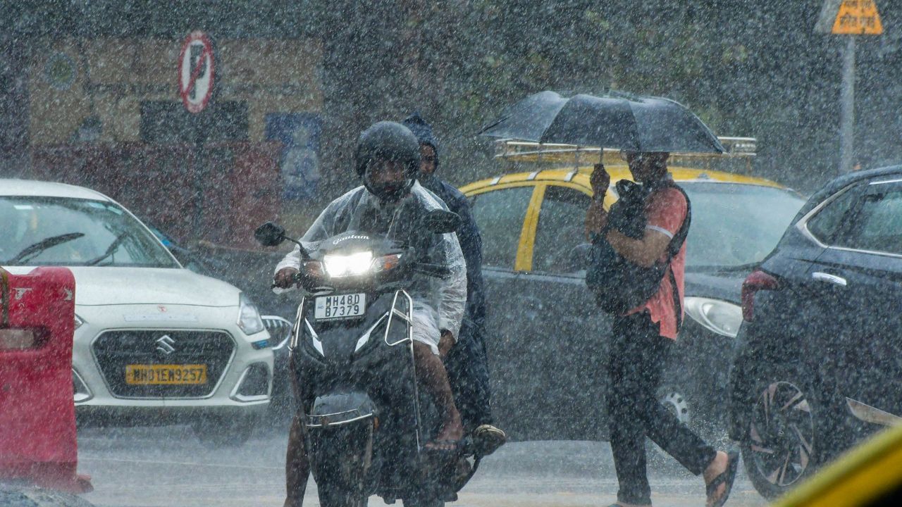 நீலகிரி டூ கோவை.. அடுத்த 2 நாட்களுக்கு வெளுக்கும் கனமழை.. லேட்டஸ்ட் வானிலை அப்டேட்! நீலகிரி டூ கோவை.. அடுத்த 2 நாட்களுக்கு வெளுக்கும் கனமழை.. லேட்டஸ்ட் வானிலை அப்டேட்!