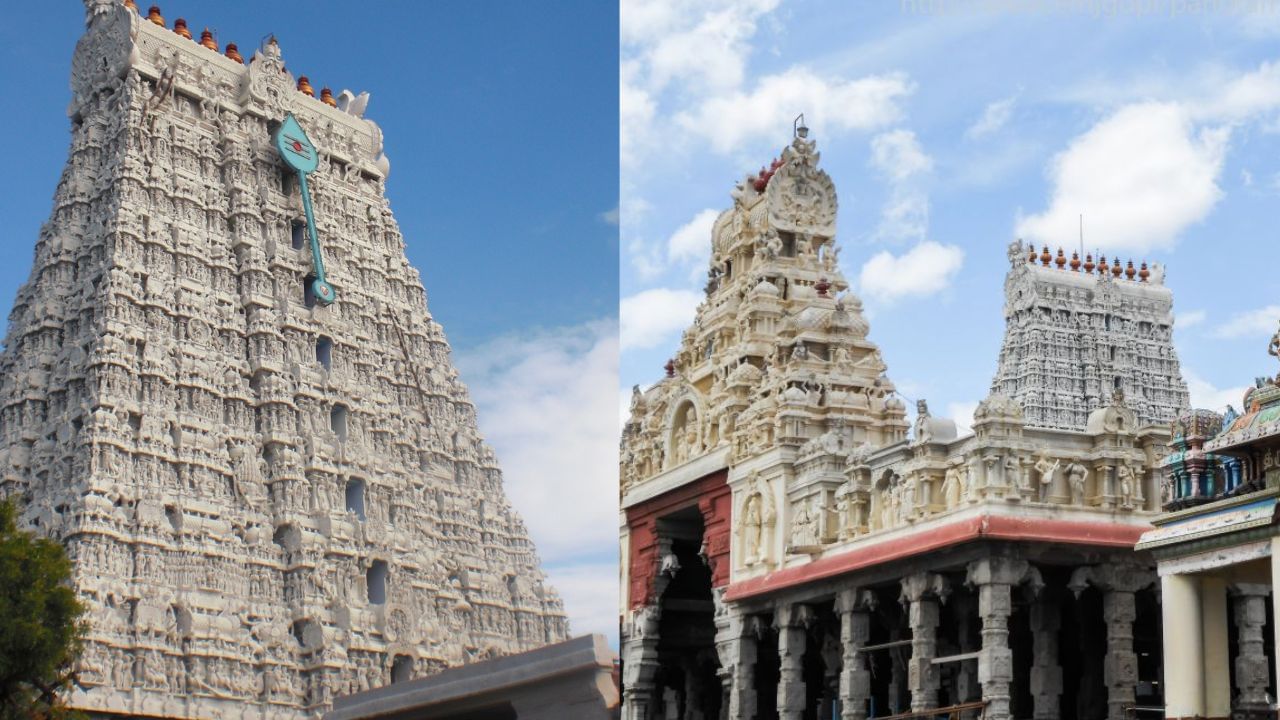 Tiruchendur: திருச்செந்தூர் கும்பாபிஷேகம்.. ராஜகோபுரம் பார்க்க சிறந்த இடம் எது? Tiruchendur: திருச்செந்தூர் கும்பாபிஷேகம்.. ராஜகோபுரம் பார்க்க சிறந்த இடம் எது?