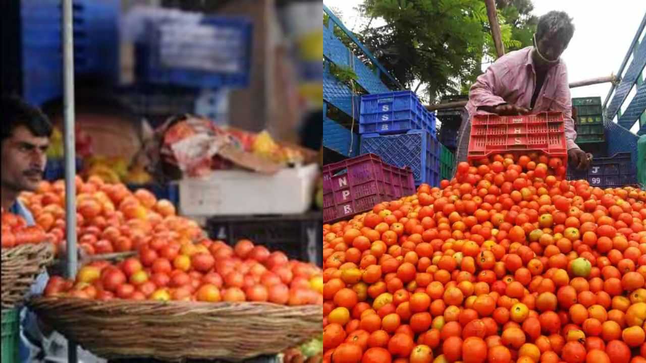 தமிழகத்தில் ஏற்ற இறக்கத்தில் தக்காளி விலை... மேலும் உயர வாய்ப்பா?