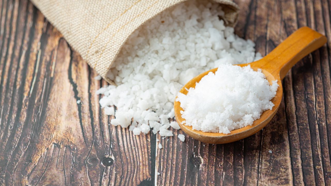 Health Tips: உணவில் கூடுதல் உப்பு சேர்த்து சாப்பிடும் நபர்களா நீங்கள்..? இது உங்கள் உடலில் என்ன செய்யும் தெரியுமா? Health Tips: உணவில் கூடுதல் உப்பு சேர்த்து சாப்பிடும் நபர்களா நீங்கள்..? இது உங்கள் உடலில் என்ன செய்யும் தெரியுமா?