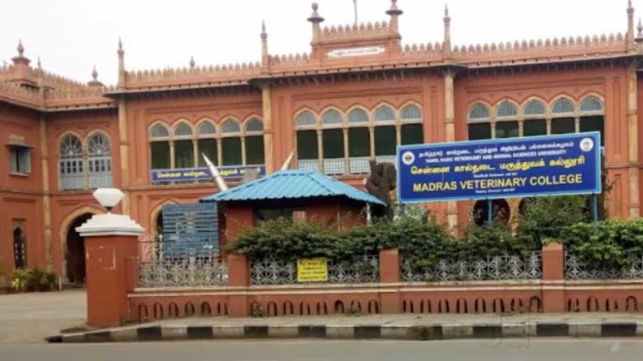 தமிழ்நாட்டில் இன்று தொடங்குகிறது கால்நடை படிப்புகளுக்கான கலந்தாய்வு