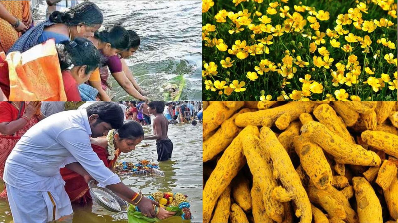 Aadiperukku: ஆடிப்பெருக்கு நாளில் இதெல்லாம் வாங்கினால் அதிர்ஷ்டம்! Aadiperukku: ஆடிப்பெருக்கு நாளில் இதெல்லாம் வாங்கினால் அதிர்ஷ்டம்!
