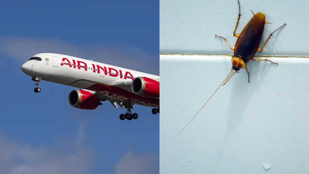 Air India : விமானத்தில் ஓடிய கரப்பான் பூச்சிகள்.. பயணிகளிடம் மன்னிப்பு கேட்ட ஏர் இந்தியா!