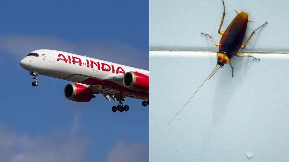 விமானத்தில் ஓடிய கரப்பான் பூச்சிகள் - மன்னிப்பு கேட்ட ஏர் இந்தியா விமானத்தில் ஓடிய கரப்பான் பூச்சிகள் - மன்னிப்பு கேட்ட ஏர் இந்தியா