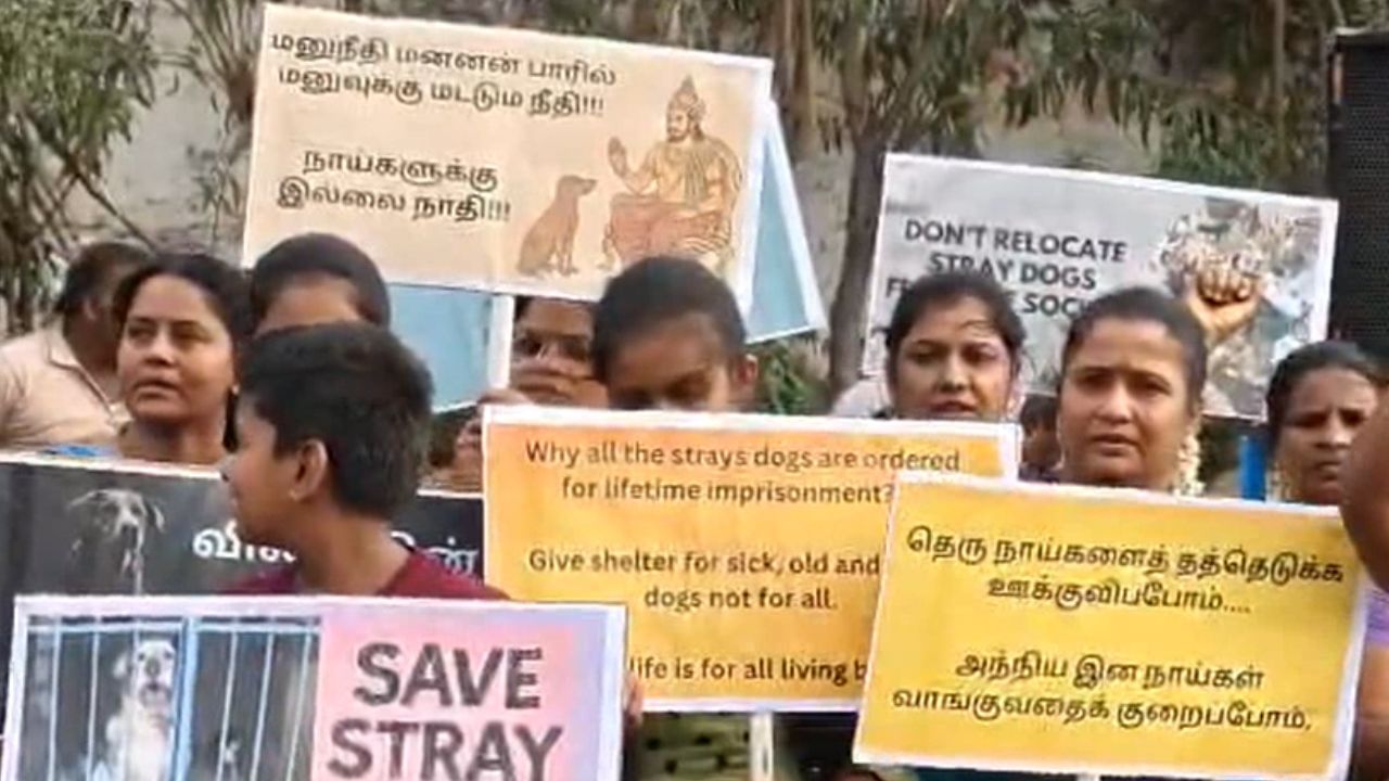 அறிவியல் பூர்வ சிந்தனை தேவை - நாய்களுக்கு ஆதரவாக ஆர்ப்பாட்டம்