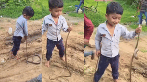 பாம்பை மண்புழு போல கையில் வைத்து விளையாடும் சிறுவன் – வைரல் வீடியோ